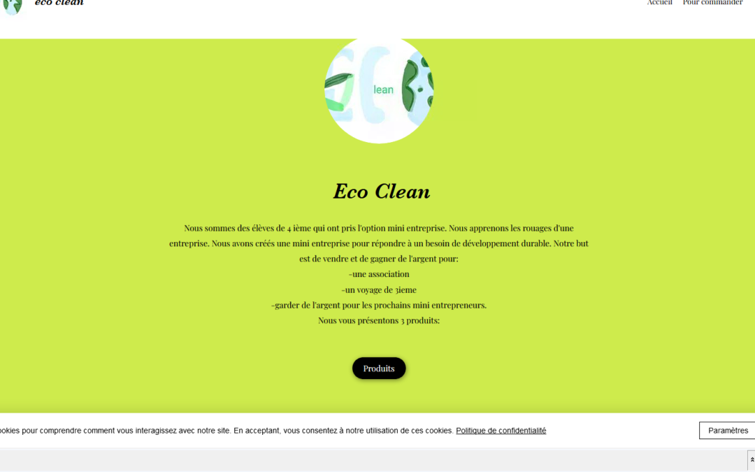 La mini entreprise crée son site internet